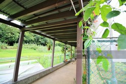 Blk 467 Segar Road (Bukit Panjang), HDB 4 Rooms #192951492
